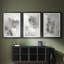 Mystical Objects I  -Custom Framed  Premium Print W Matt - 3 Pieces-2026486542-2026486536