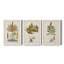 Fern Botanical I - Ensemble de 3 peintures sur toiles encadrées-772660934-772660939