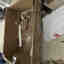 Photos des clients 3 de 3