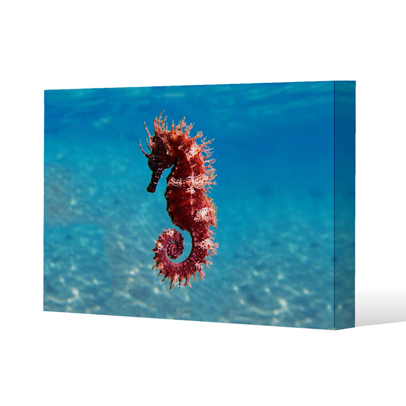 No Title by Andrew Lee - Wrapped Canvas Print, 41cm H x 61cm W x 4cm D