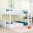 Dextra Kids Twin Over Twin Bunk Bed-732737781