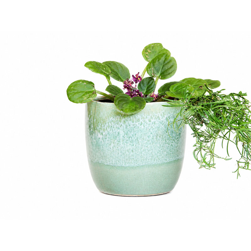 Pot à fleurs Jewel Teacup By , Sapphire Mist