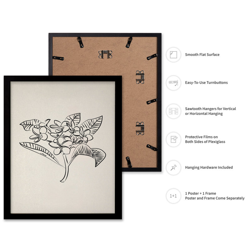 Croquis de fleur de plumeria, Cadre noir, Affiche, H 24 po x l 32 po