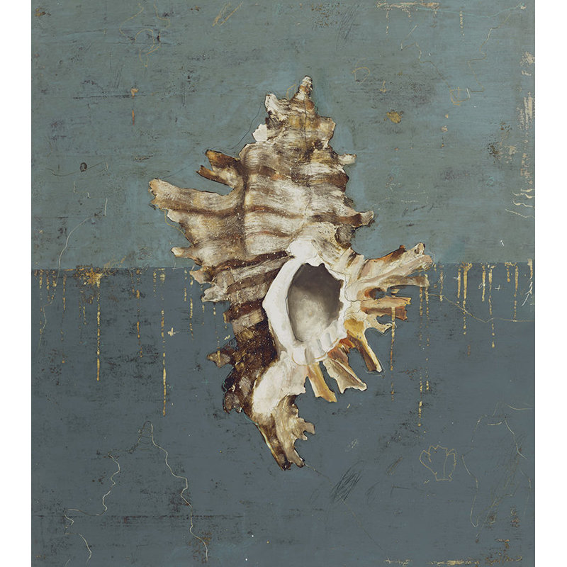 Seashell D Print by Sarah Atkinson, Knife Gel