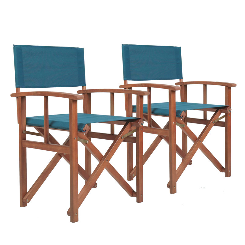 Antero Folding Director Chair