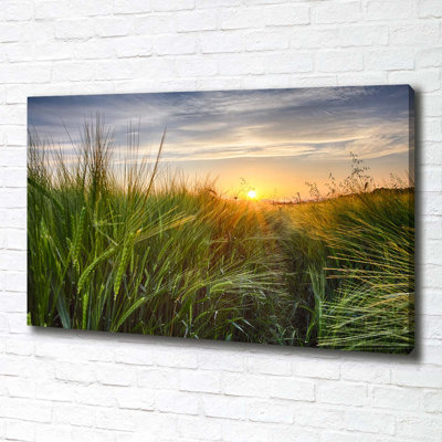Wheat Field - Wrapped Canvas Print