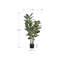 Matlock 47,25 po Matlock en pot de ciment Matlock