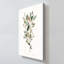 "Leafy Botanical II" par Carol Robinson, reproduction sur toile-1382944247