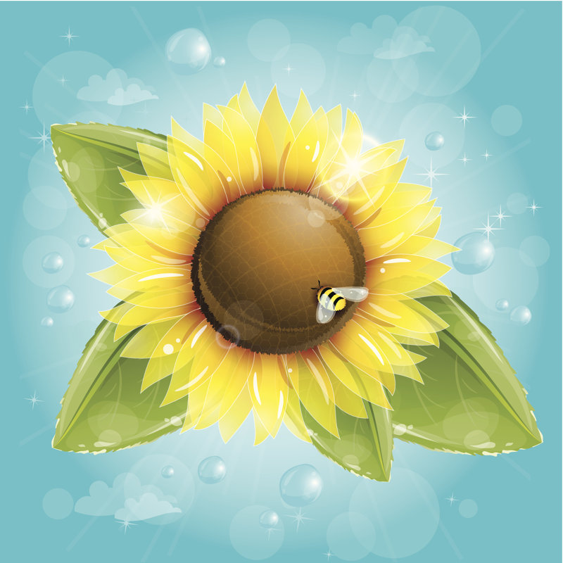 Beautiful Sunflower - Wrapped Canvas Print, 30cm H x 30cm W x 3.8cm D