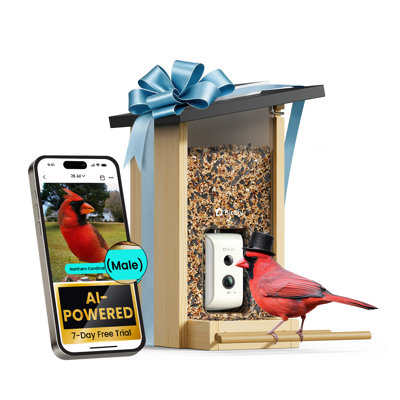 Mangeoire d'oiseaux avec caméra Birdfy Smart