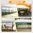 Pop Up Canopy