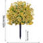 22cm Plant