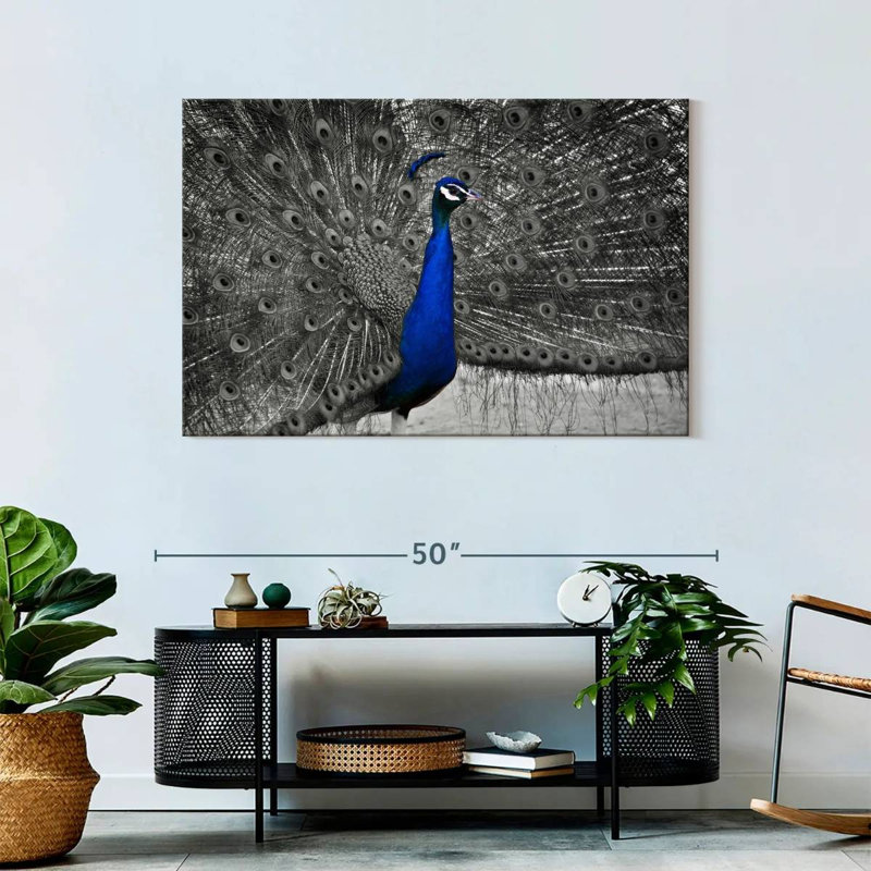 Brampt Peacock Pop, 30" H x 45" W