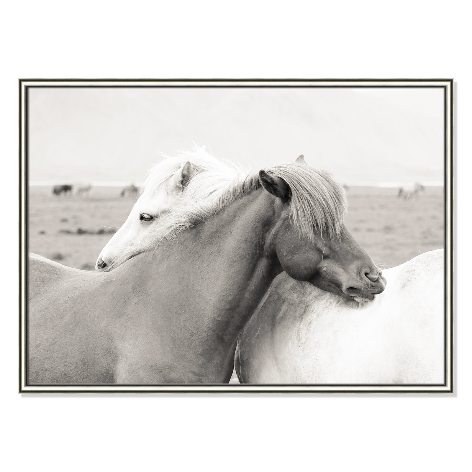 Melanie "Icelandic Meadow Horses" Print, 26.75" H x 36.75" W x 0.88" D, Silver Framed