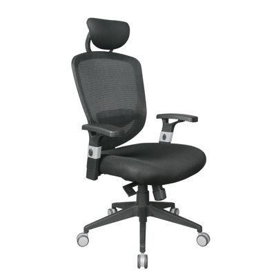 Windber Mesh Task Chair with Headrest