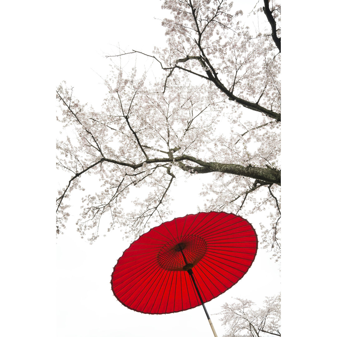 Roter japanischer Regenschirm von Ooyoo - Kunstdrucke auf Leinwand