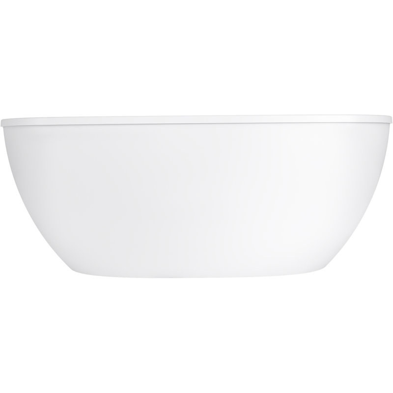 Spectacle 65.44'' L Freestanding Soaking Bathtub