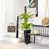 Black selected