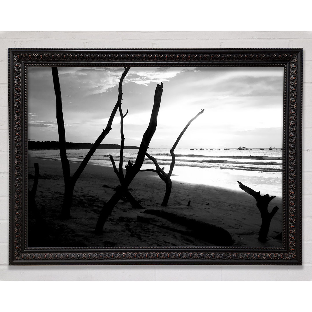 Driftwood Beach B N W - Einzelner Bilderrahmen Kunstdrucke