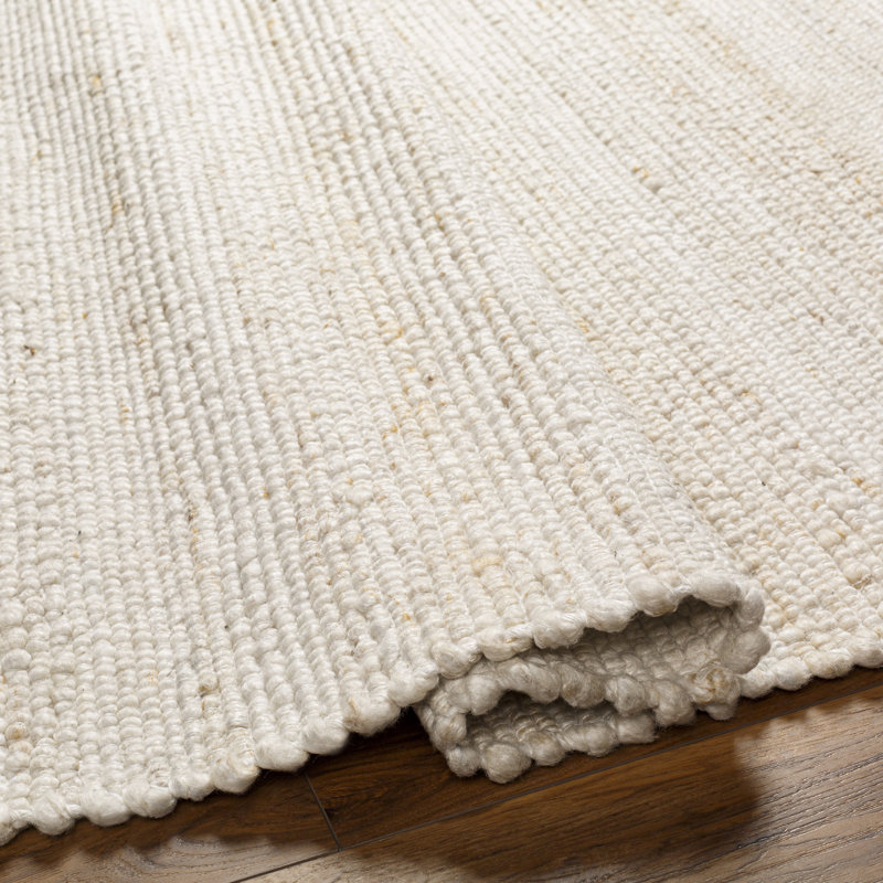 Mecit Handmade Braided Recycled P.E.T. Indoor / Outdoor Area Rug in Cream/Gray, Rectangle 2' x 3'