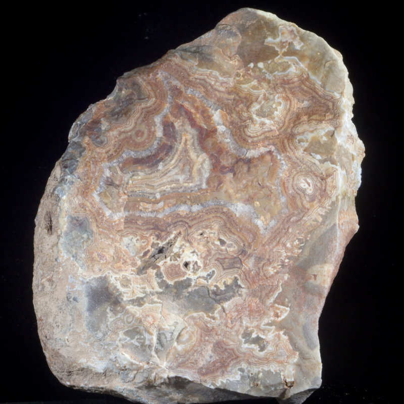 Agate - Mine d'agate à tête sèche, Montana, États-Unis