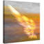 Parvez Taj - Wrapped Canvas Print-16674249