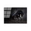 Boze Painting on Glass
