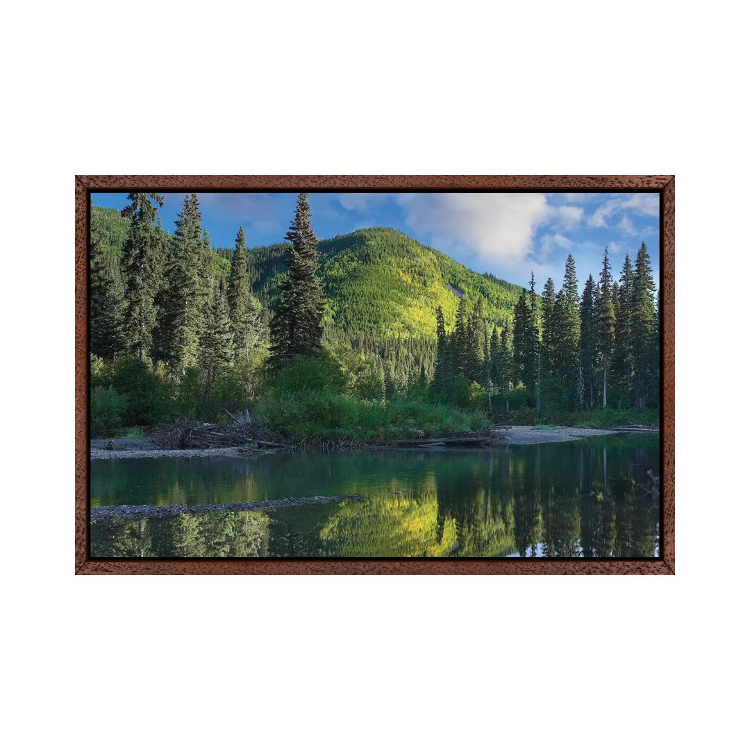 Pine River, Hart Ranges, British Columbia, Kanada von Tim Fitzharris - Galerie-verpackte Leinwand Giclée auf Leinwand