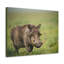 Wall Art on Canvas-223026310