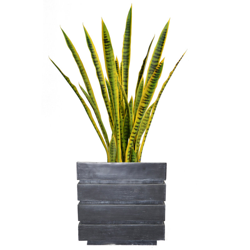 Serre artificielle en pot 35 po Panama, Noir