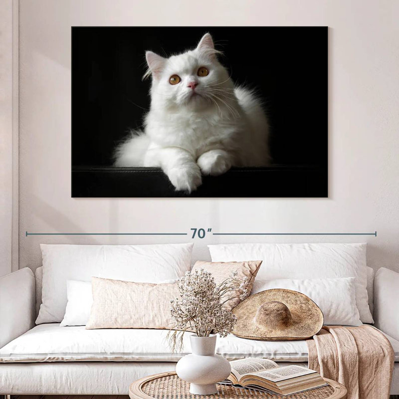 White Persian Cat, 34" H x 51" W