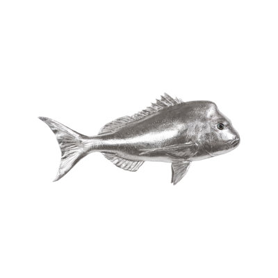 Décoration murale poisson australien