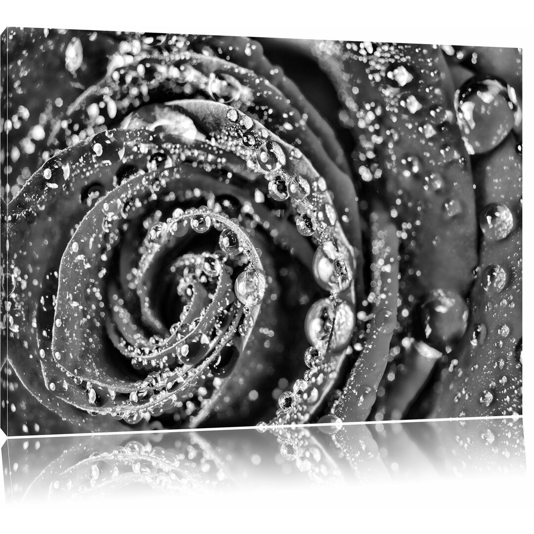 Leinwandbild Elegante rote Rose mit Wassertropfen in Monochrom