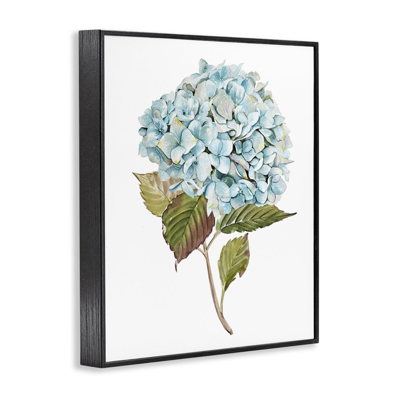 «Simple Hydrangea Bud Art» par Enya Todd bg-170, H 14 po x l 11 po, Giclée encadrée noir minuit