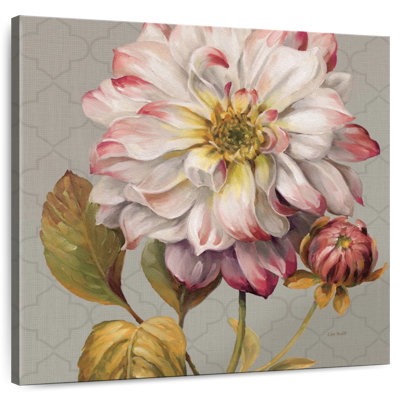 Classical Beautiful II