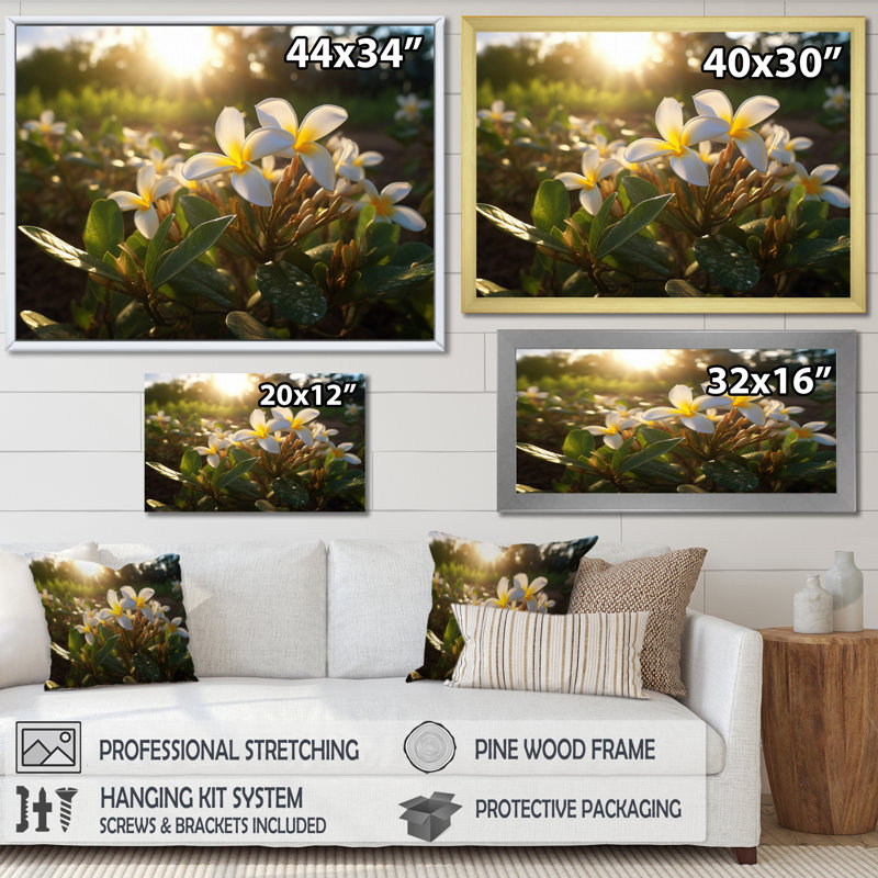 Jaune jaune blanc exotique Plumeria Blooms III sur toile, H 12 po x l 20 po x P 1 po, Cadre flottant blanc