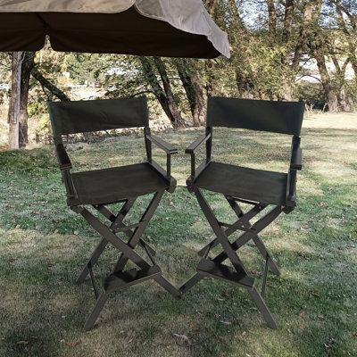 Casual Home Director's Chair, Black Frame/Black Canvas,Suitable For Adults, Foldable Style, 2Pcs/Set  Populus, Chair