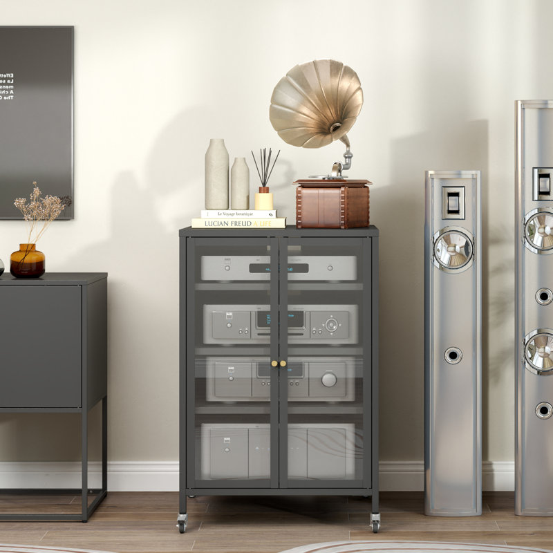 Media Storage Cabinet -Audio-Video Media Stand Require Assembly, Black