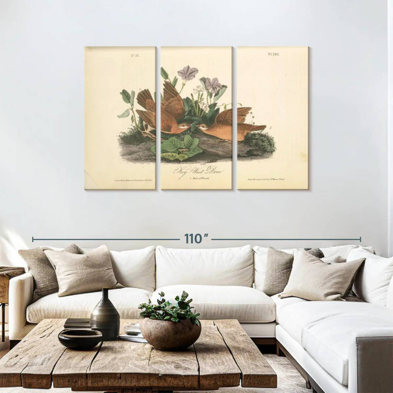 Brampt Key-West Dove, 48" H x 74" W