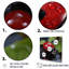 «Lactive Ladybug Reflections II», reproduction sur toile-1779900342-1779900339