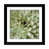 Black Framed Fine Art Paper is unavailable