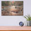 Luxe Art «The Perfect Pumpkin» par Lori Deite «The Perfect Pumpkin» par Lori Deiter-101629575