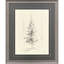 «Elegant Pine I», art encadré
