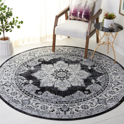 Damyon Performance Oriental Rug