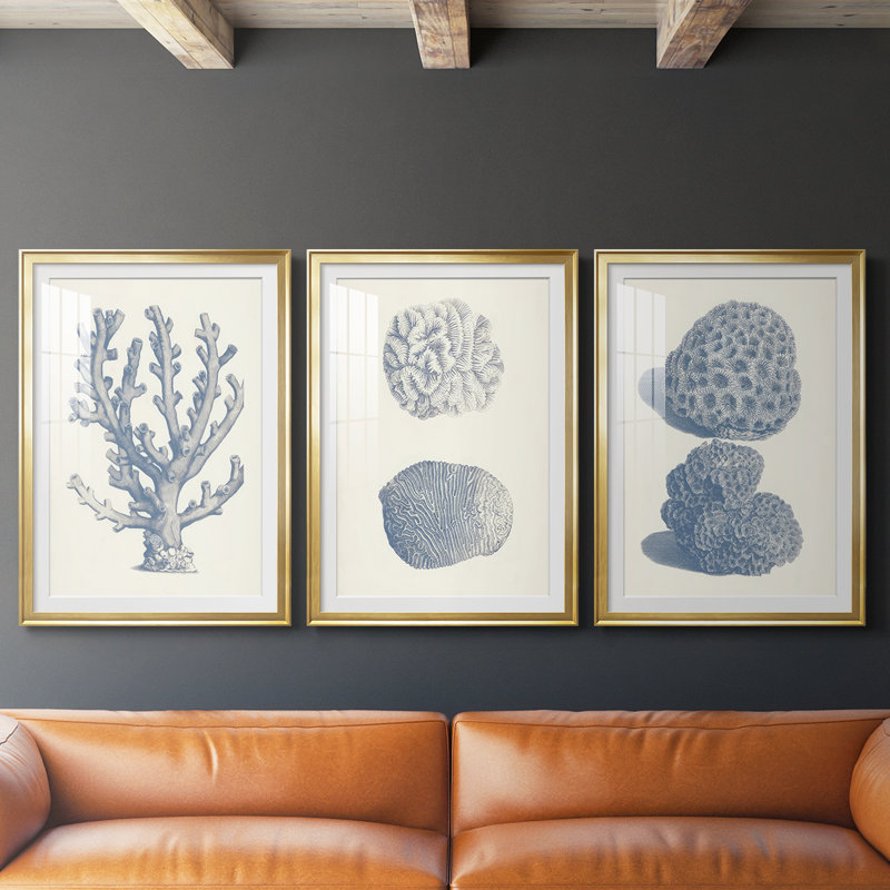 Antique Coral Collection VI - reproduction encadrée sur mesure de qualité supérieure mate - 3 pièces