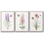Wildflower Botanical I - Ensemble de 3 reproductions sur toile-1547100152-1547100153