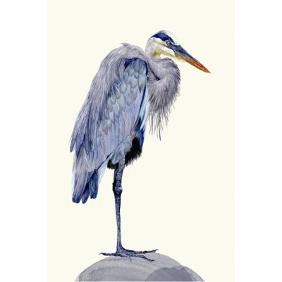 Heron Study II