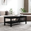 Kanthiah Solid Wood Four Leg Coffee Table with Storage-225825198-225825195
