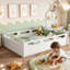 Low Profile Floor Platform Bed with Built-In Guardrails-130646837