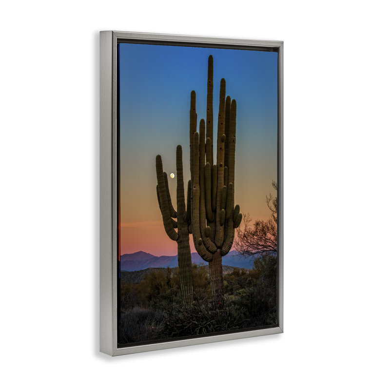 Silhouette de cactus avec toile flottante encadrée dorée par Rick Berk, Cadre flottant gris lustré, H 25 po x l 17 po